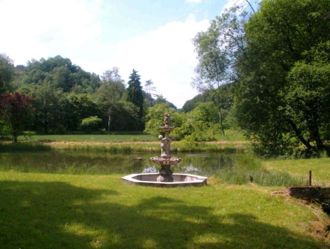 Propriete Bordee D'Etangs, Propice A La Detente Florenville Exterior foto