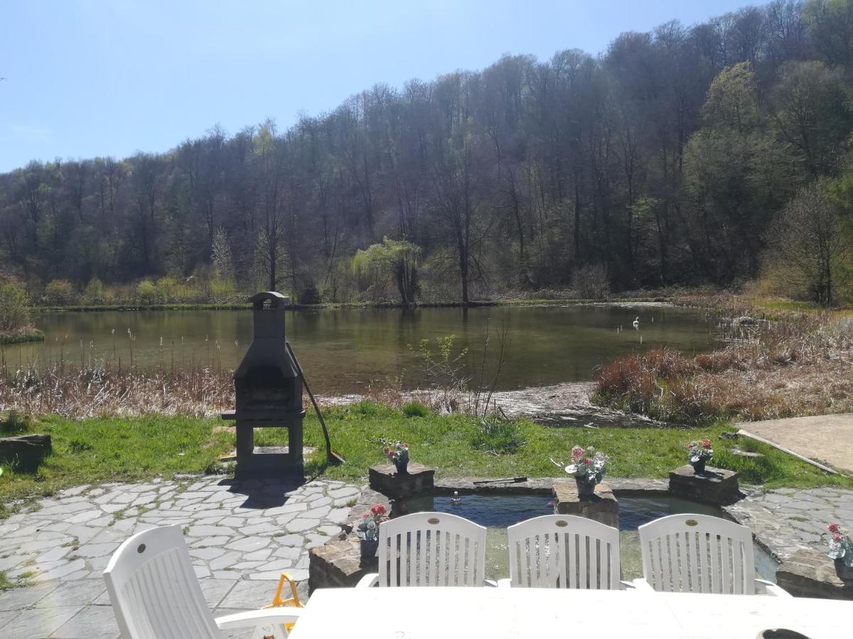 Propriete Bordee D'Etangs, Propice A La Detente Florenville Exterior foto
